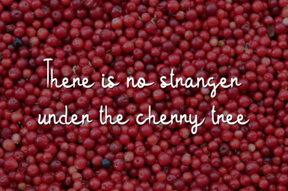 Red Cherry Font Poster 4