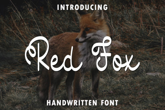 Red Fox Font Poster 1