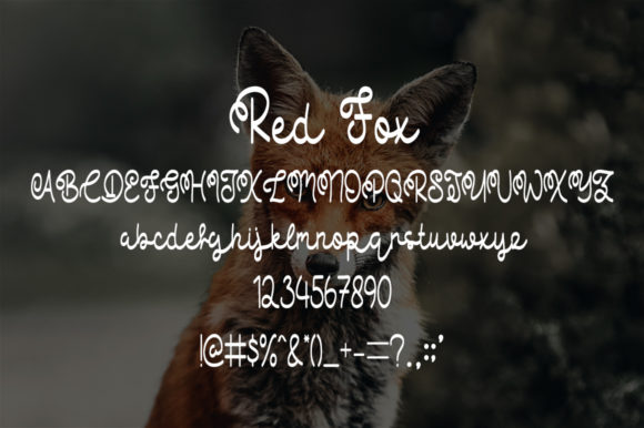 Red Fox Font Poster 5
