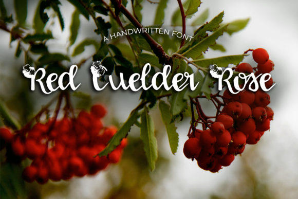 Red Guelder Rose Font Poster 1