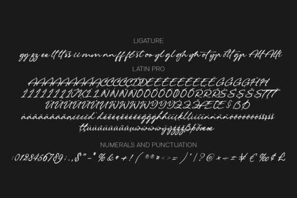 Reghina Font Poster 10