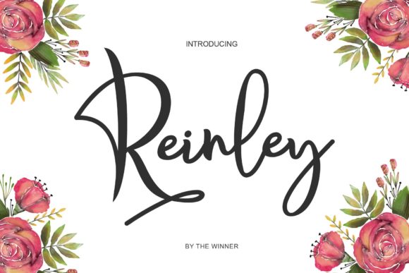 Reinley Font Poster 1