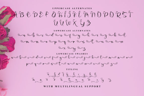 Resonance Love Font Poster 10