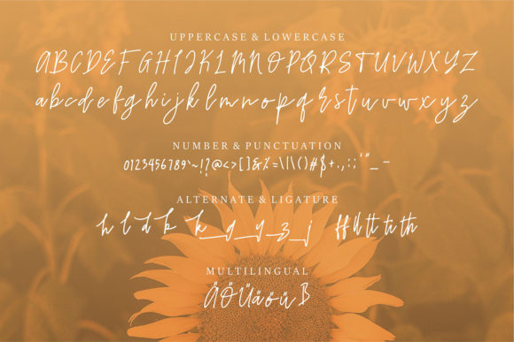 Reyton Font Poster 6