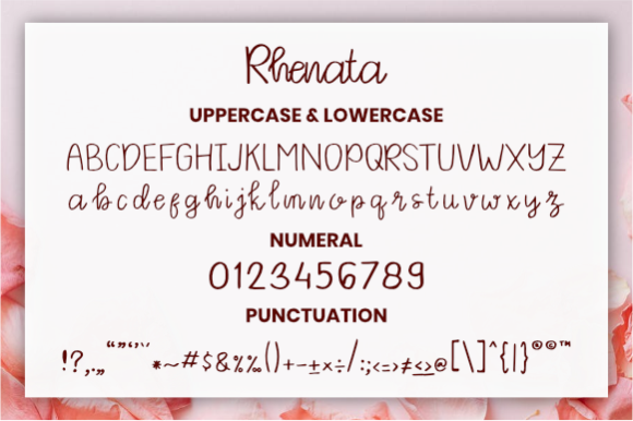 Rhenata Font Poster 5
