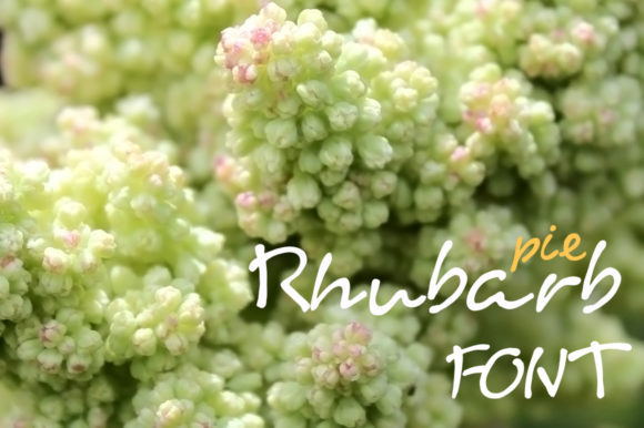 Rhubarb Pie Font Poster 1