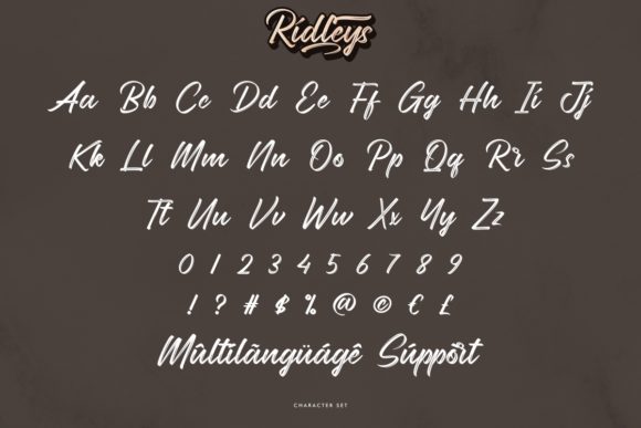 Ridleys Font Poster 5