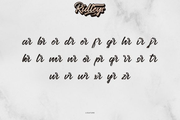 Ridleys Font Poster 7