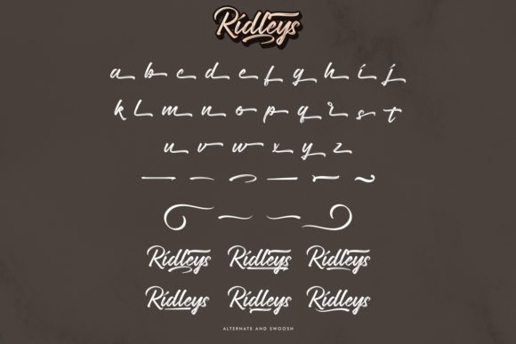 Ridleys Font Poster 9