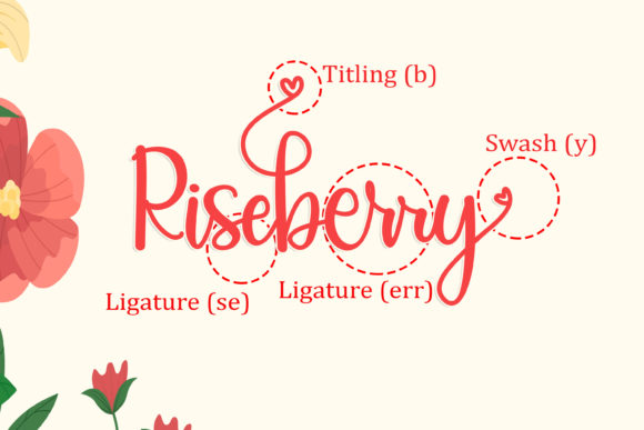 Riseberry Font Poster 7