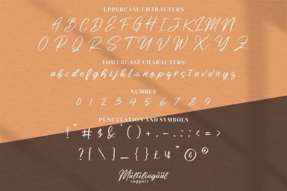 Risess Singature Font Poster 5