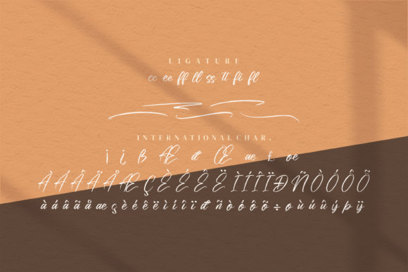 Risess Singature Font Poster 6