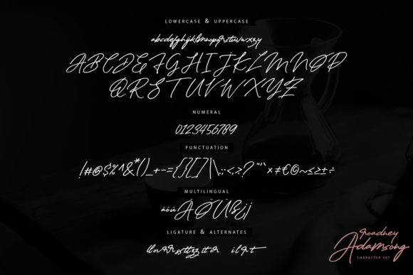 Roadney Adamsong Font Poster 6