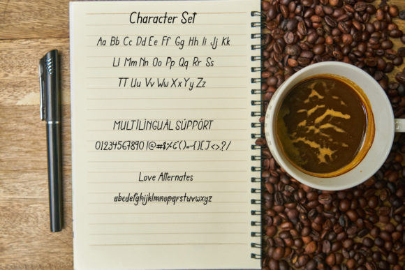Romantic Diary Font Poster 5