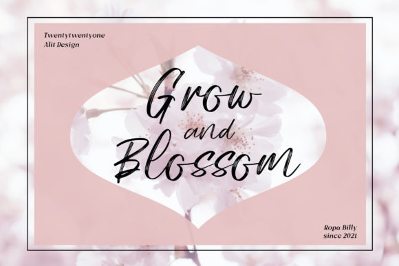 Ropa Billy Font Poster 12