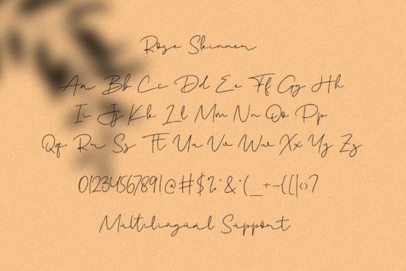 Rose Skinner Font Poster 9