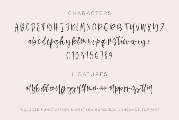 Rosecity Font Poster 10