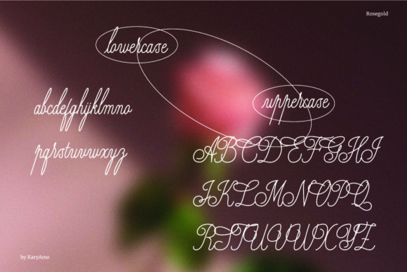 Rosegold Font Poster 2