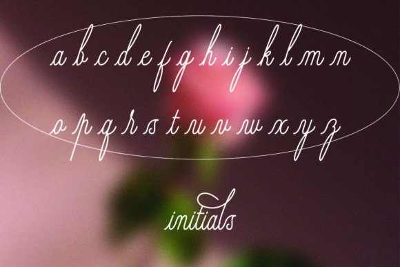 Rosegold Font Poster 8