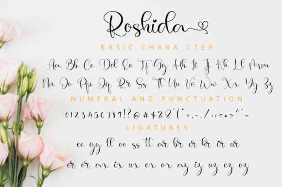 Roshida Font Poster 11