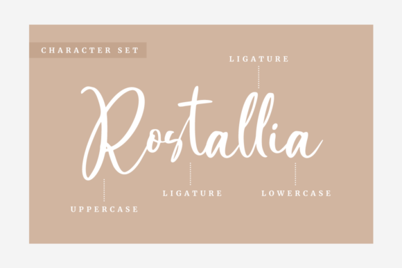 Rostallia Font Poster 9