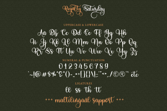 Royalty Saturday Font Poster 12