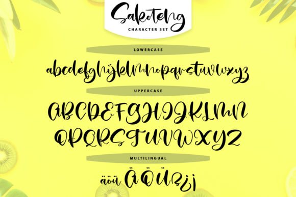 Sakoteng Font Poster 5