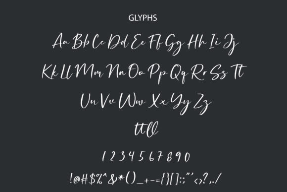 Sallomita Font Poster 8