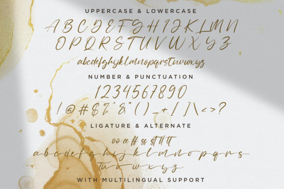 Sally Tazem Font Poster 14