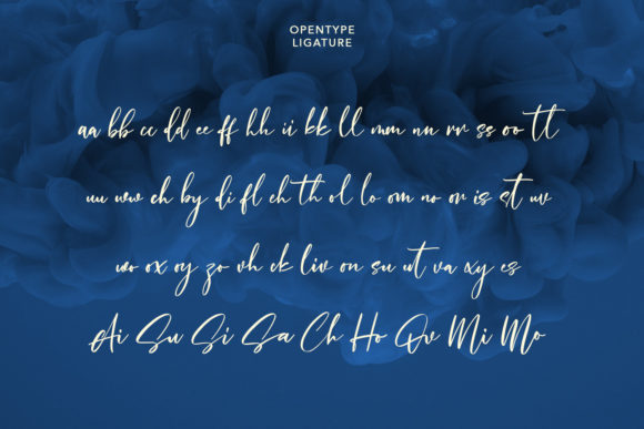 Salvadores Signature Font Poster 9