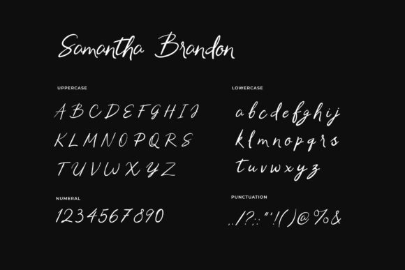 Samantha Brandon Font Poster 2