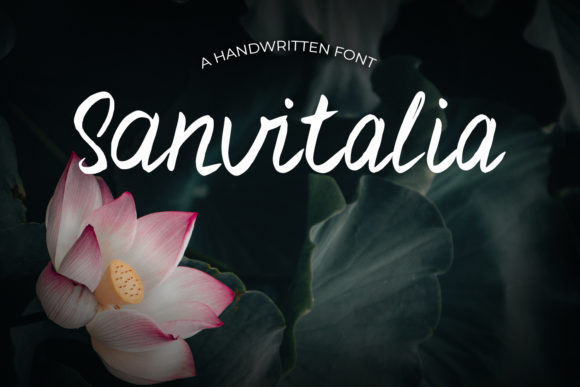 Sanvitalia Font Poster 1