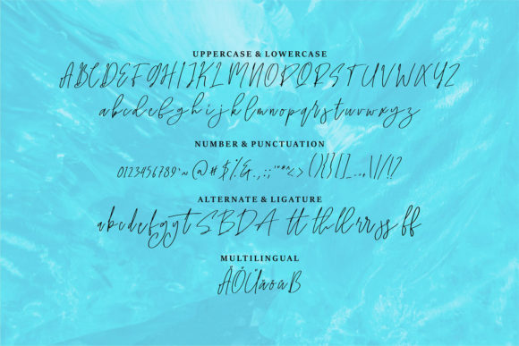 Sarathy Font Poster 6