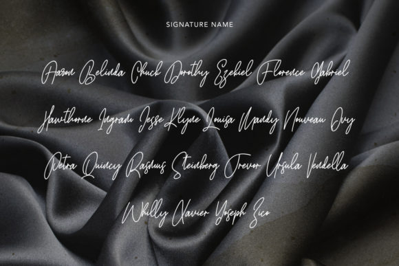 Satinwoods Font Poster 12