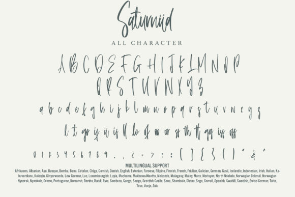 Saturniid Font Poster 7