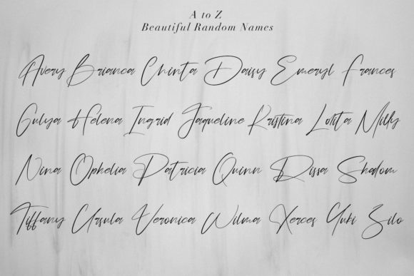 Schwitz Signature Font Poster 12