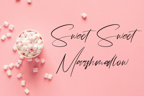 Schwitz Signature Font Poster 4