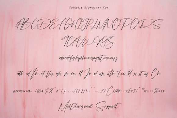 Schwitz Signature Font Poster 9