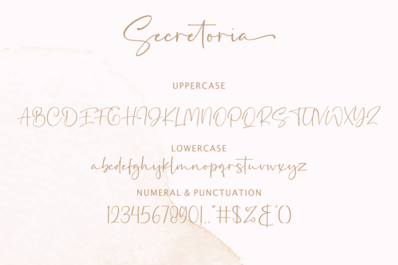 Secretoria Font Poster 11