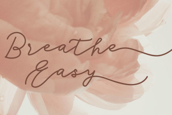 Seinaya Font Poster 2
