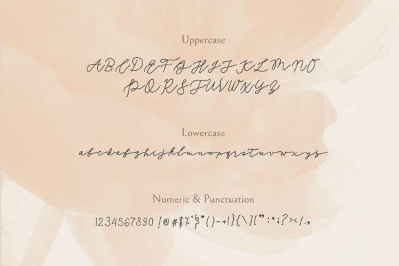 Seinaya Font Poster 7