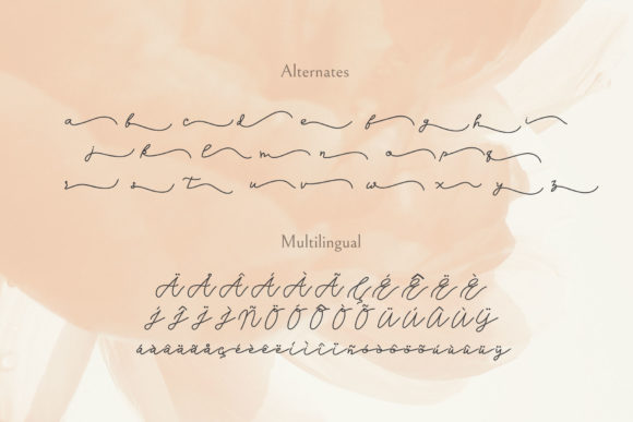 Seinaya Font Poster 8