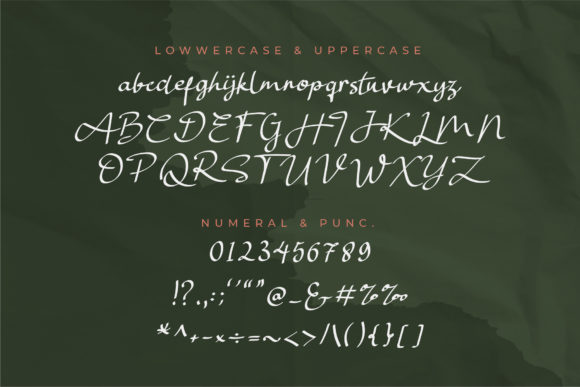 Sellaras Font Poster 5