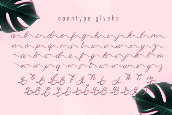 Sellyha Font Poster 7