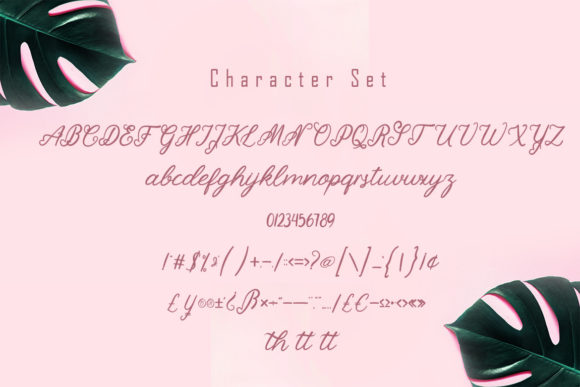 Sellyha Font Poster 8