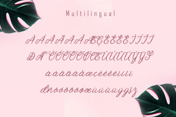 Sellyha Font Poster 9
