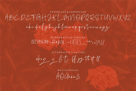 Selynite Font Poster 6