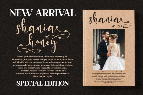 Shania Honey Font Poster 14