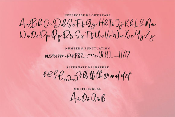 Shaniga Font Poster 6