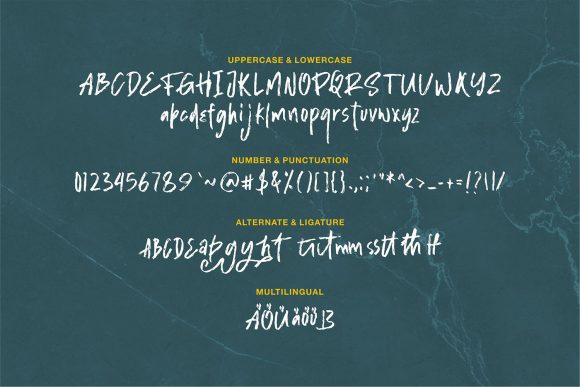 Shegard Font Poster 6